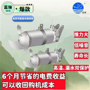 带水安装潜水搅拌机
