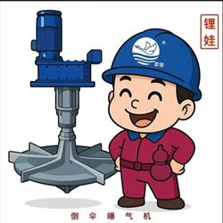 倒伞曝气机
