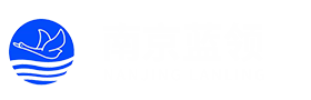 2026美加墨世界杯网站官网